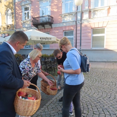 Akcja częstowania jabłkami oraz rozdawania ulotek kandydatów na Posłów.